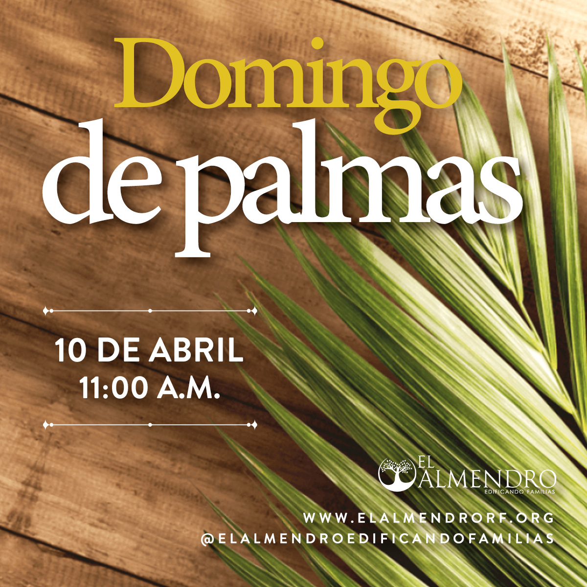 Domingo de Palmas El Almendro